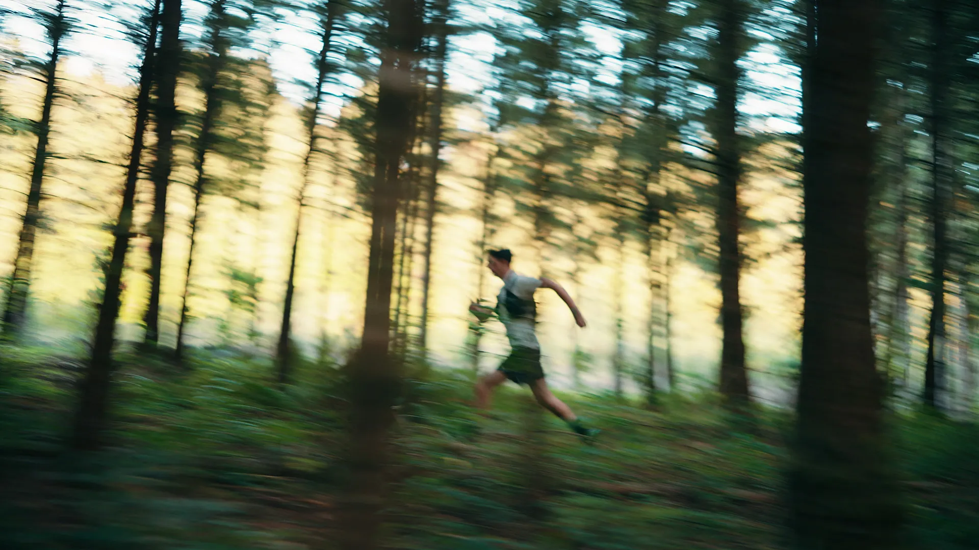 Amazfit: Trails