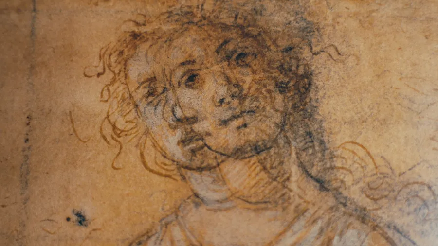 Fine Arts Museums of San Francisco: Botticelli: Rhythm of the Line